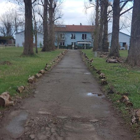Grosse 3 Zi Wohnung Auf Der Pferde Farm Lahr (Baden-Wurttemberg) Exterior foto