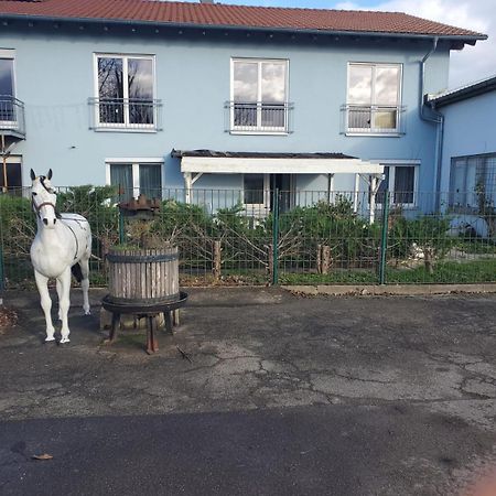 Grosse 3 Zi Wohnung Auf Der Pferde Farm Lahr (Baden-Wurttemberg) Exterior foto